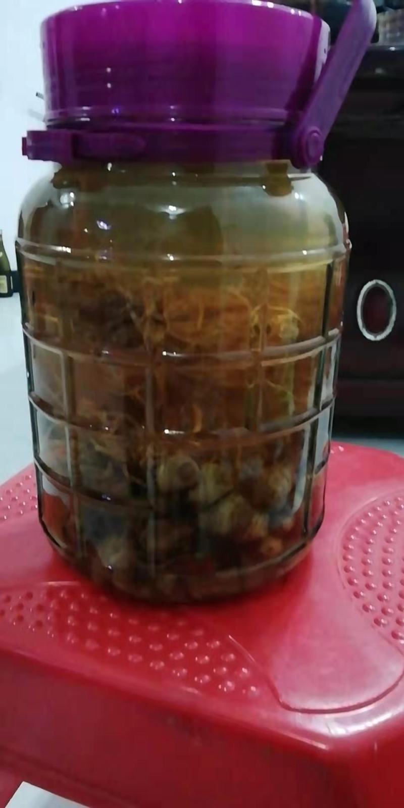 野生地龙蜂虎头蜂金蜂泡酒蜂巢酒