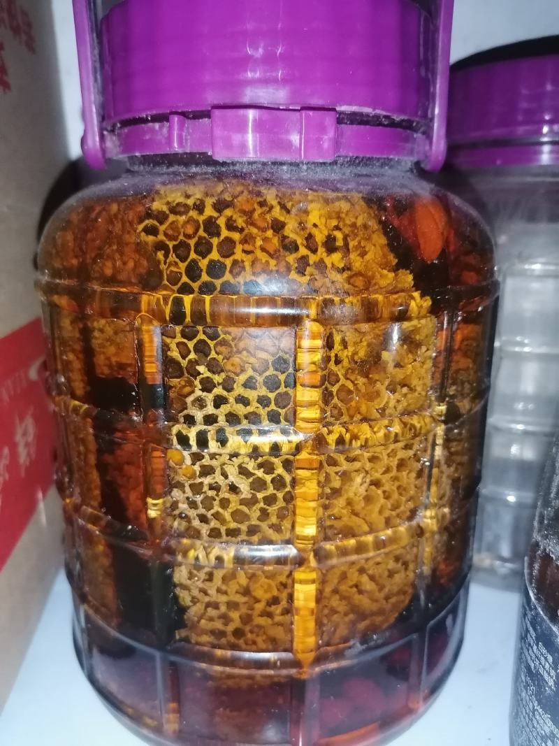 野生地龙蜂虎头蜂金蜂泡酒蜂巢酒