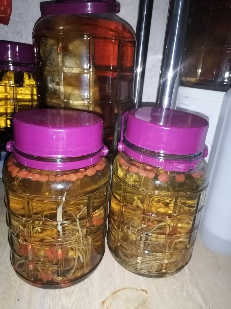 野生地龙蜂虎头蜂金蜂泡酒蜂巢酒