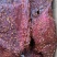 大块肉牛肉批发大量批发厂家直销
