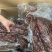 大块肉牛肉批发大量批发厂家直销