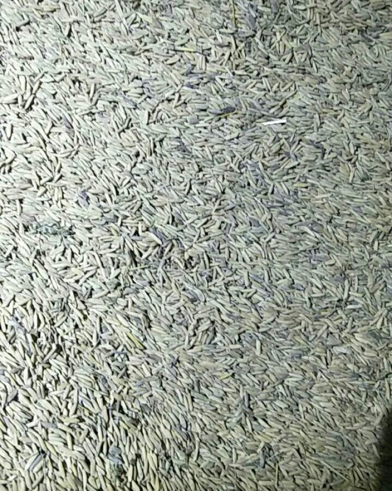 稻谷自产自销，品质有保证。货源200吨左右，欢迎洽谈，