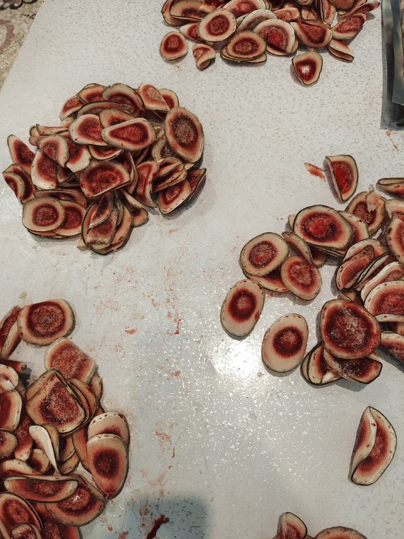 鹿茸片鲜鹿茸片含血鹿茸片吉林长白山鹿乡梅花鹿茸片泡酒批发