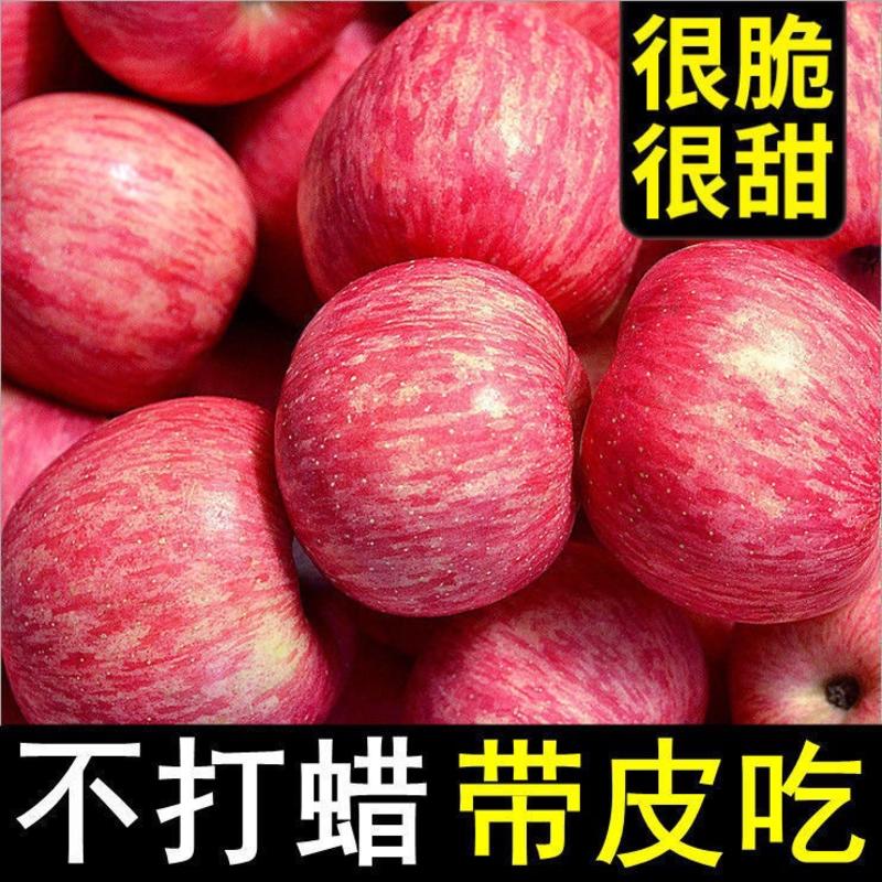 【热卖】山东红富士苹果产地一手货源保质保量代发全国
