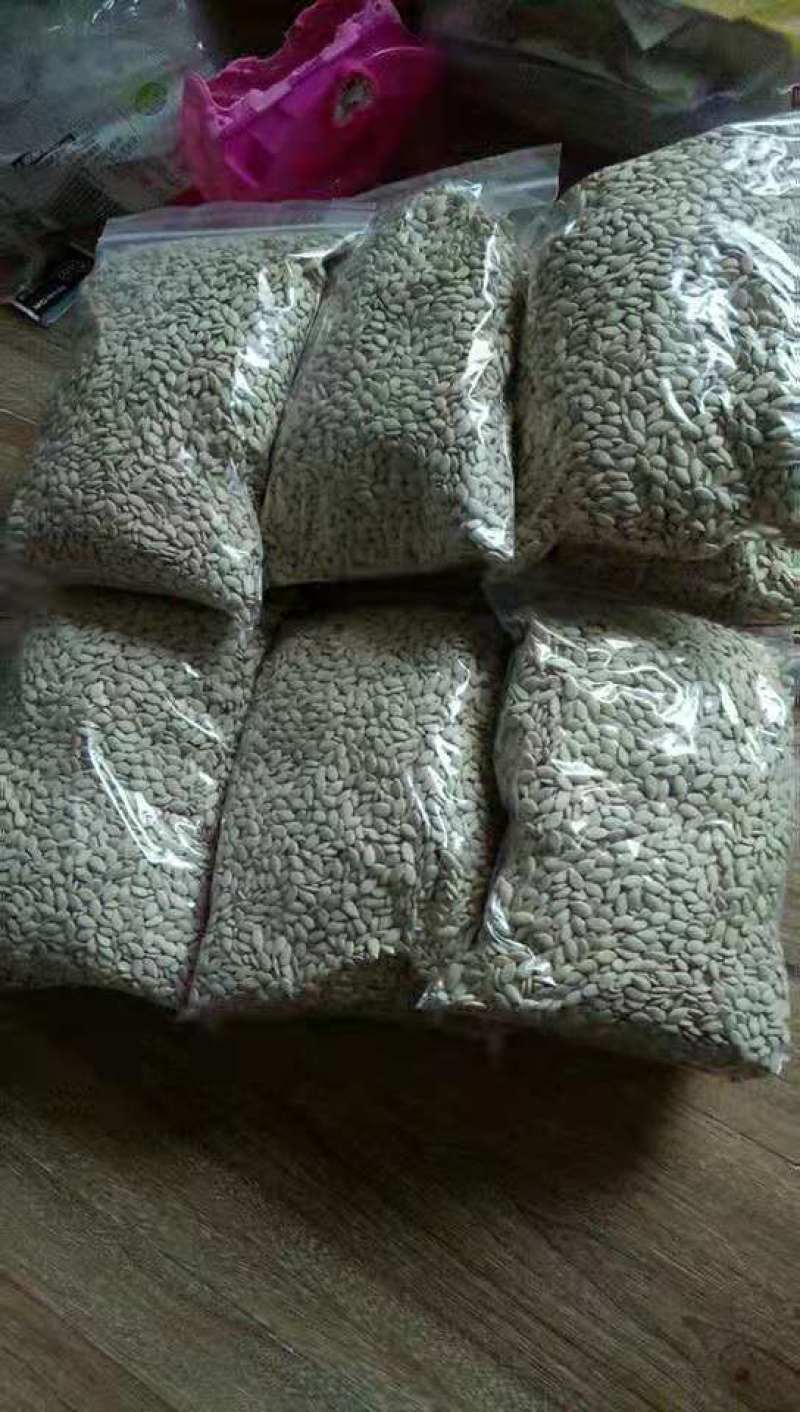 广东铁心冬瓜种子抗病强空胸小产量高厂家直发