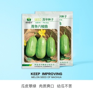 茂华八棱脆甜瓜菜瓜种子，低糖，肉脆多汁，鲜食可凉拌