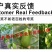 茂华八棱脆甜瓜菜瓜种子，低糖，肉脆多汁，鲜食可凉拌
