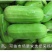 茂华八棱脆甜瓜菜瓜种子，低糖，肉脆多汁，鲜食可凉拌