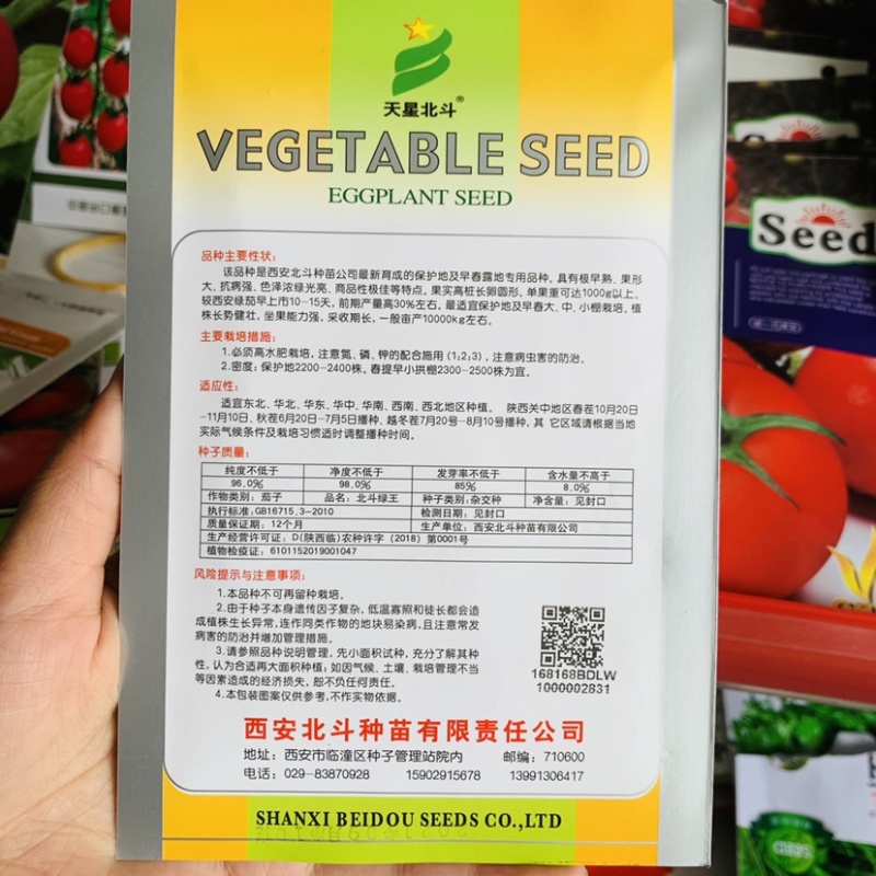 天星北斗绿王绿茄子种子极早熟西安绿茄种子抗病强高产