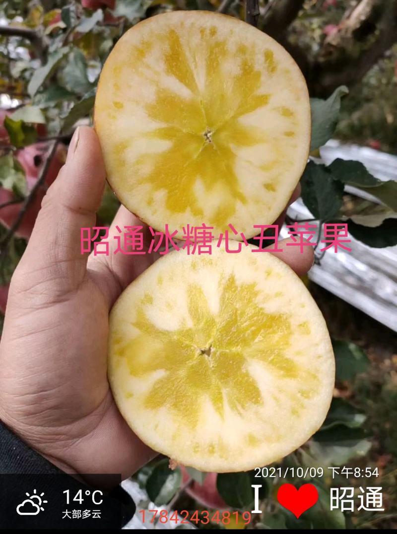 昭通苹果冰糖心丑苹果代办，电商平台供应链一件代发。团购。