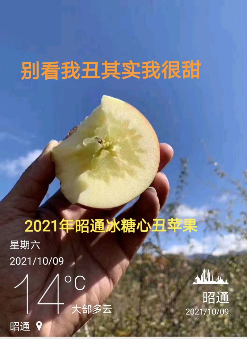 昭通糖心丑苹果代办，电商，团购。一件代发线上线下供应链