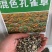 孔雀草种子耐寒秋播花卉植物景观工程园林花海花草花种子