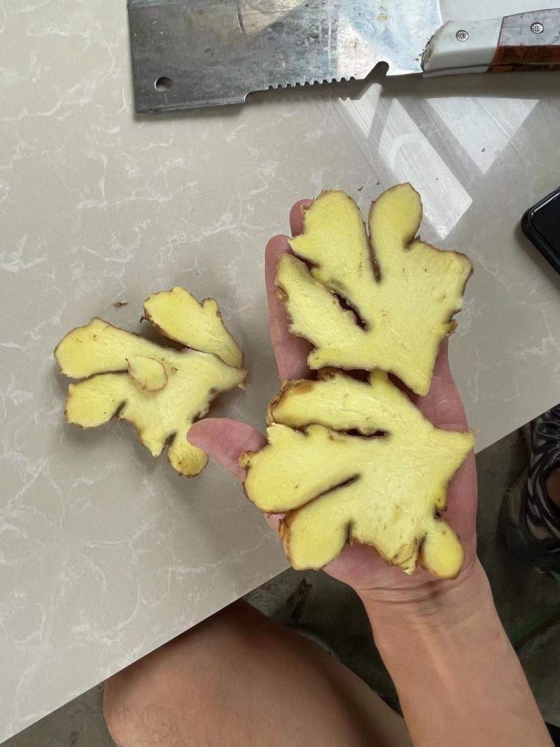 山东生姜辣味浓厚，颜色蜡黄，质量保证！全国发货，坏烂包赔