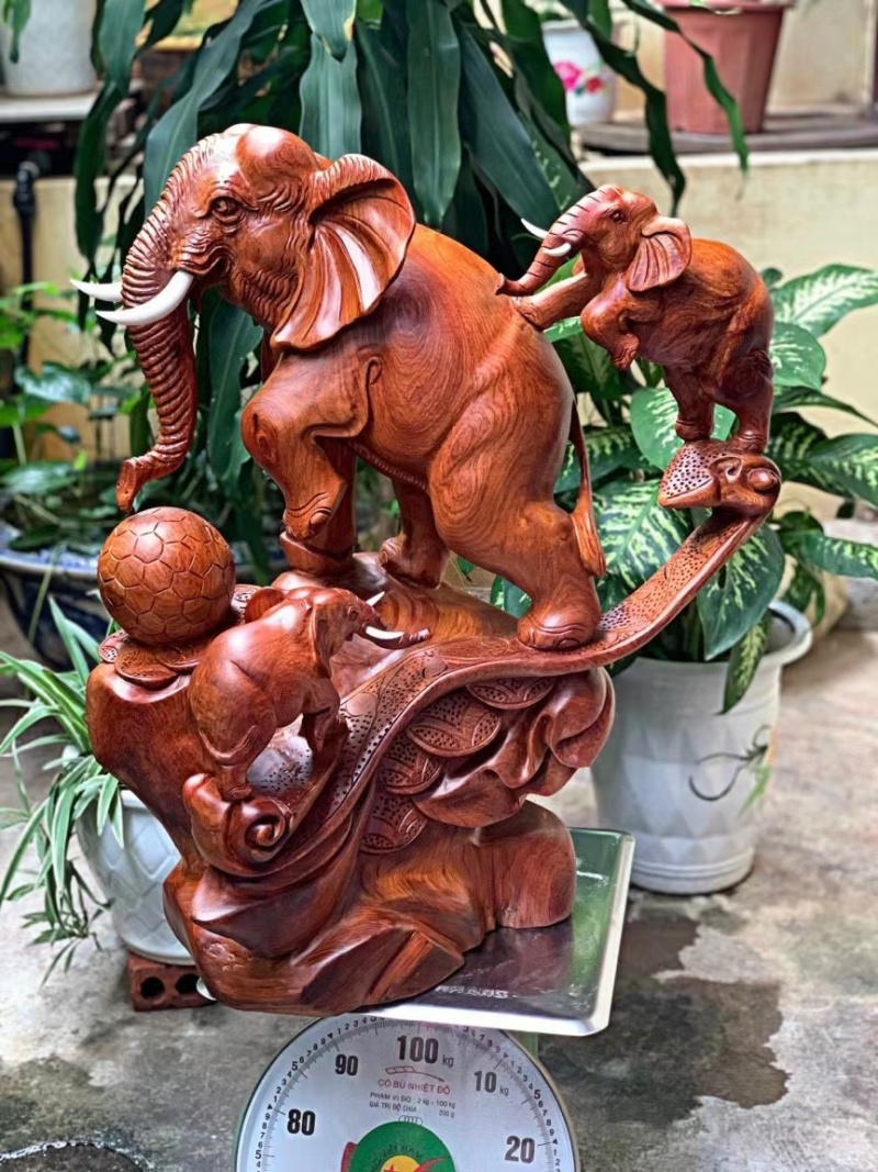 热带水果