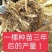 玉竹种苗湘玉竹猪屎尾参玉竹片玉竹条子煲汤玉竹片