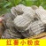 山东土特产红薯粉皮粉皮粉皮粉皮量大优惠欢迎选购