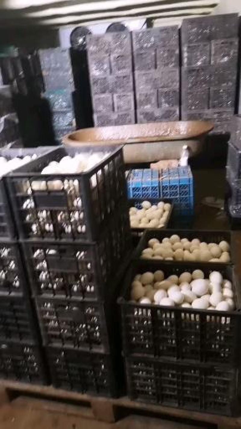 泥淹散黄鸭蛋，经纹蛋，松花蛋