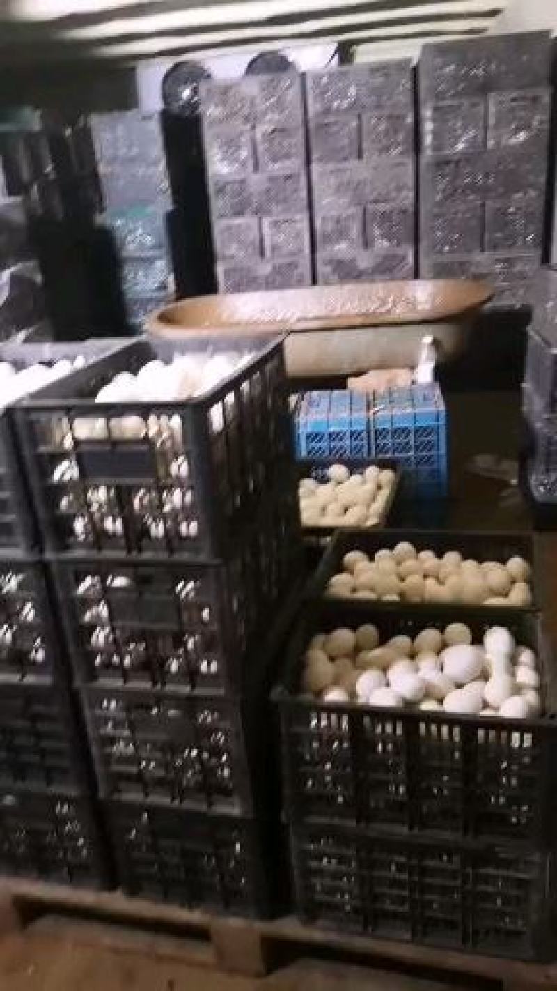 泥淹散黄鸭蛋，经纹蛋，松花蛋