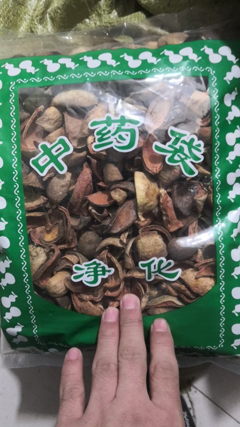 木馒头奶母果霹雳果薜荔果木莲果无理由退换货