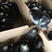 大种黑芦花鸡苗，中速型黑芦花厂家直销，质量保证