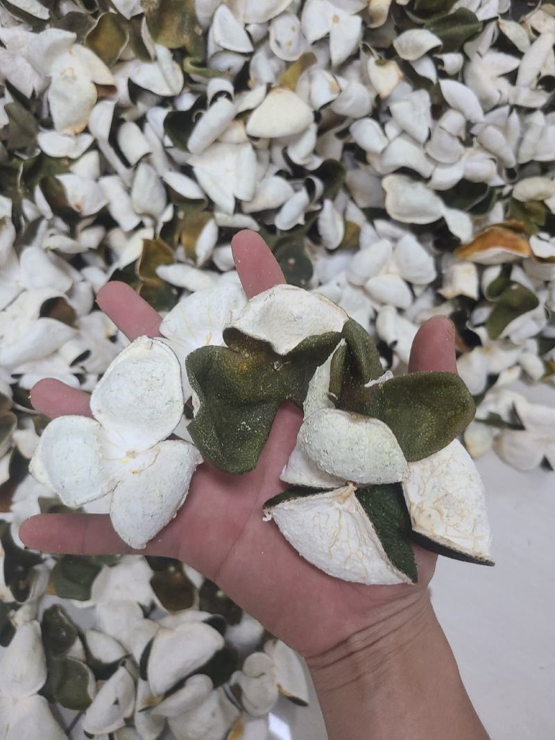 陈皮青皮2023新货青皮三花大量现货批发