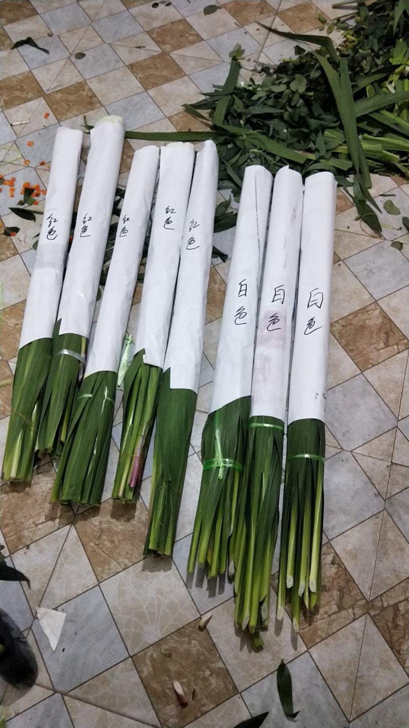 剑兰鲜切花，又名步步高升
