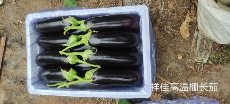 专业寿光蔬菜代办合作社，品种齐全，价格合理，服务到位！