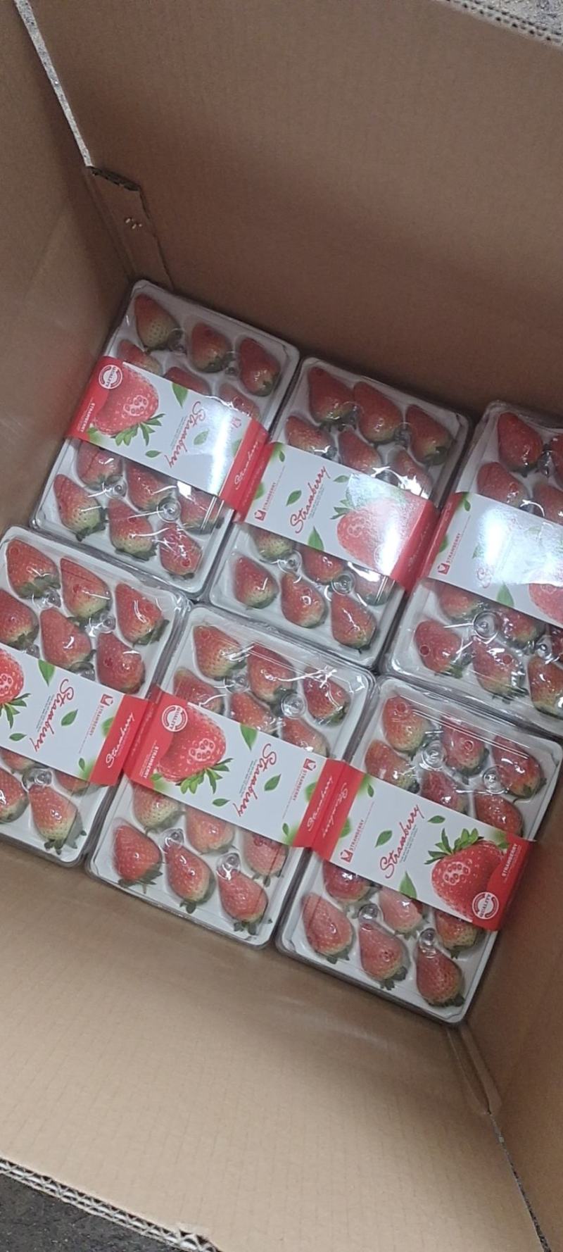 美团多多电商供徐州草莓宁玉甜查理妙香草莓草莓代收