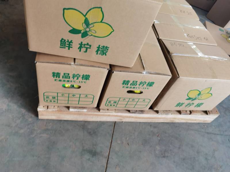 安岳优力克青柠檬皮薄多汁新鲜采摘支持一件代发