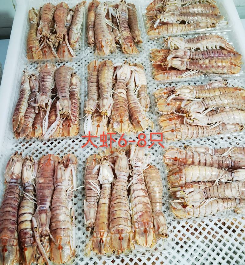 活煮带膏皮皮虾濑尿虾富贵虾虾琶子