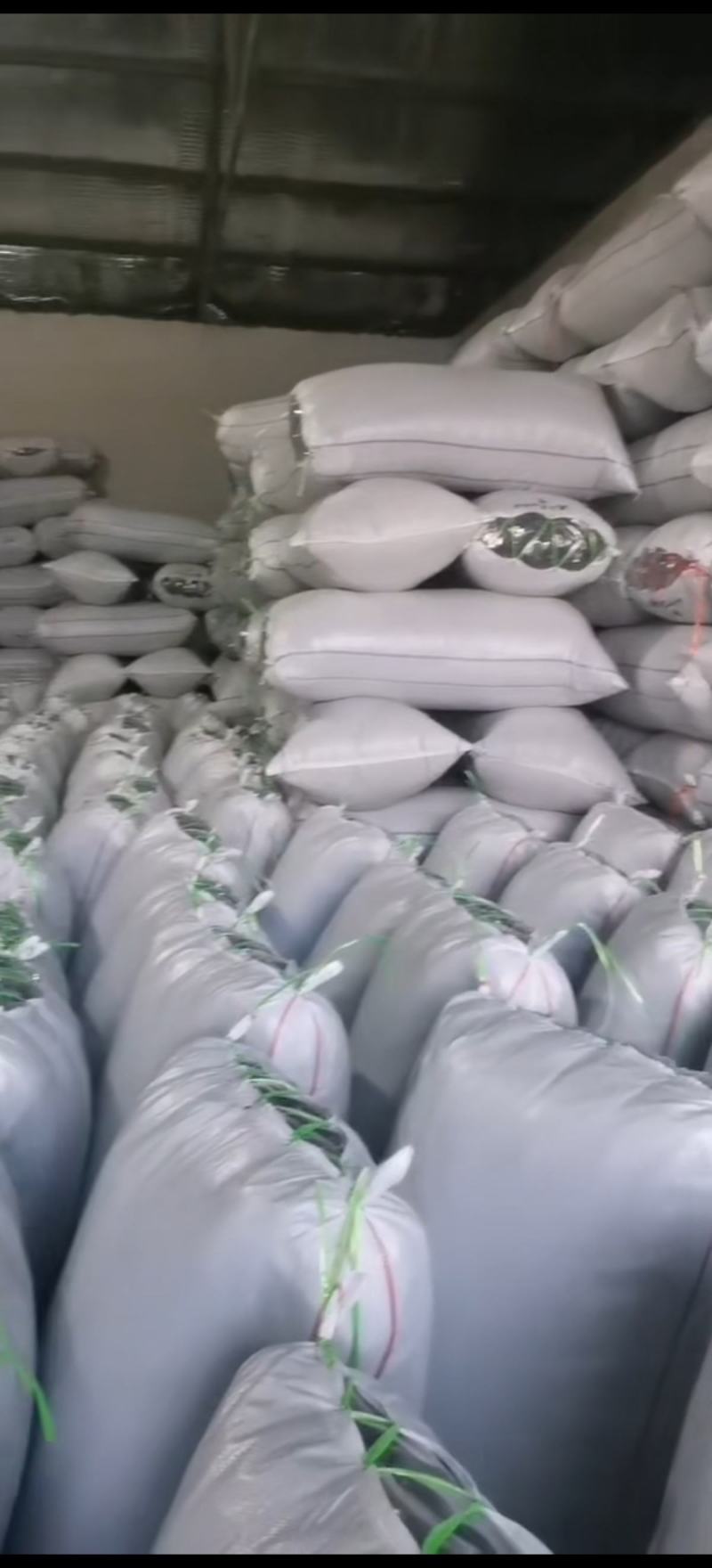 东北产地批发木耳品种齐全量大可咨询支持一件代发