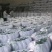 东北产地批发木耳品种齐全量大可咨询支持一件代发