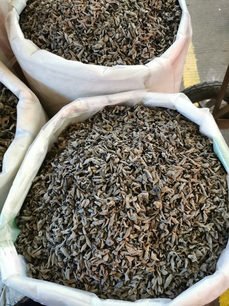 东北产地批发木耳品种齐全量大可咨询支持一件代发