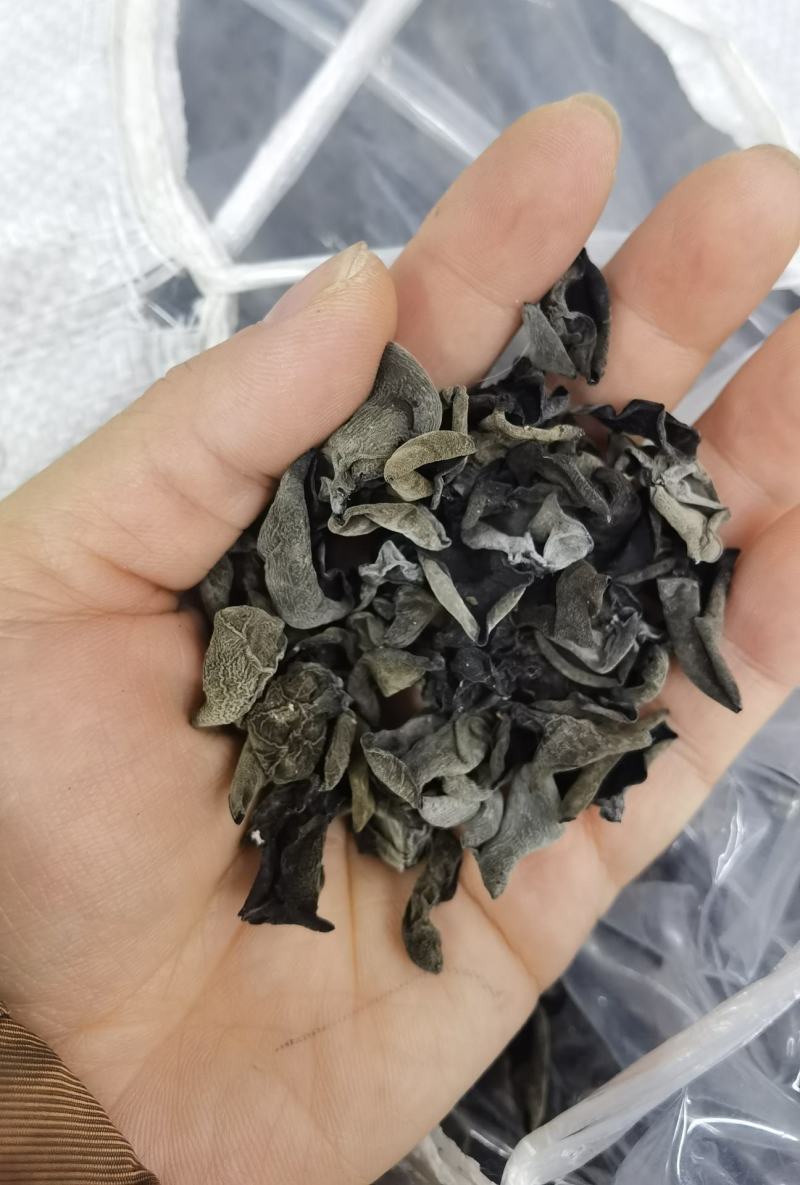 东北产地批发木耳品种齐全量大可咨询支持一件代发