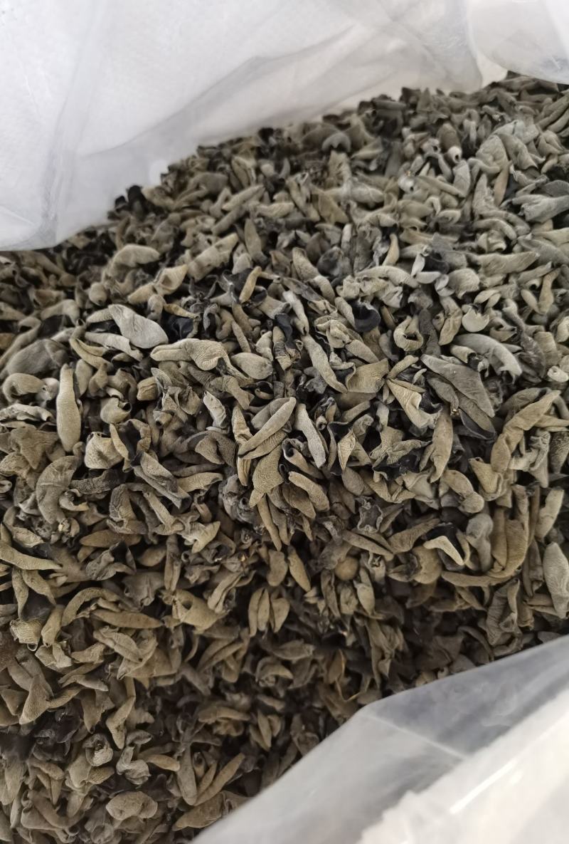 东北产地批发木耳品种齐全量大可咨询支持一件代发