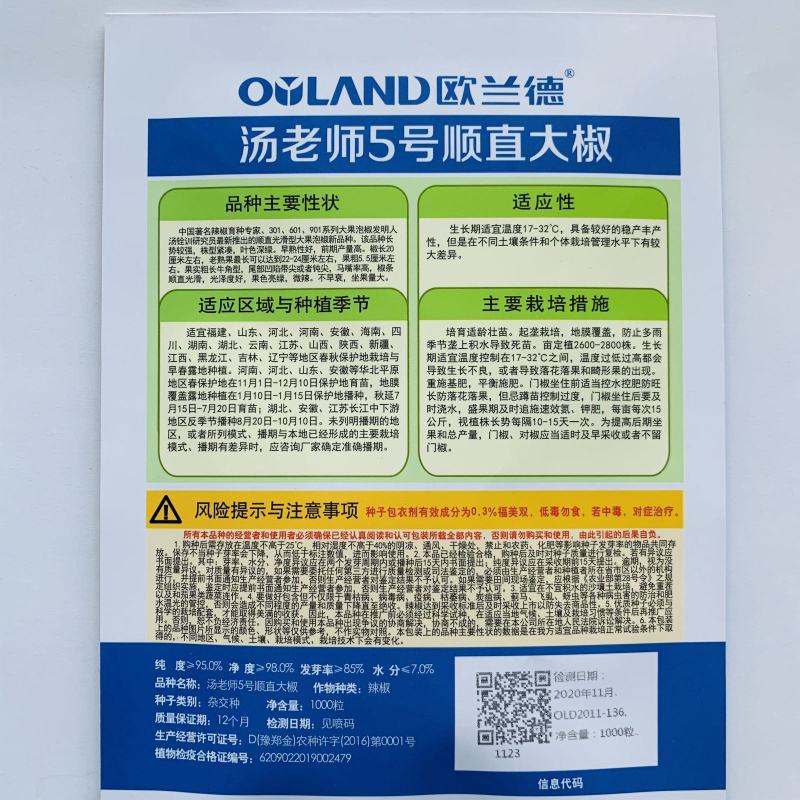 汤老师13号牛角椒种子大果薄皮品种种子早熟品种