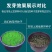 草坪种子草籽四季常青黑麦草免修剪护坡三叶草狗牙根绿化矮生
