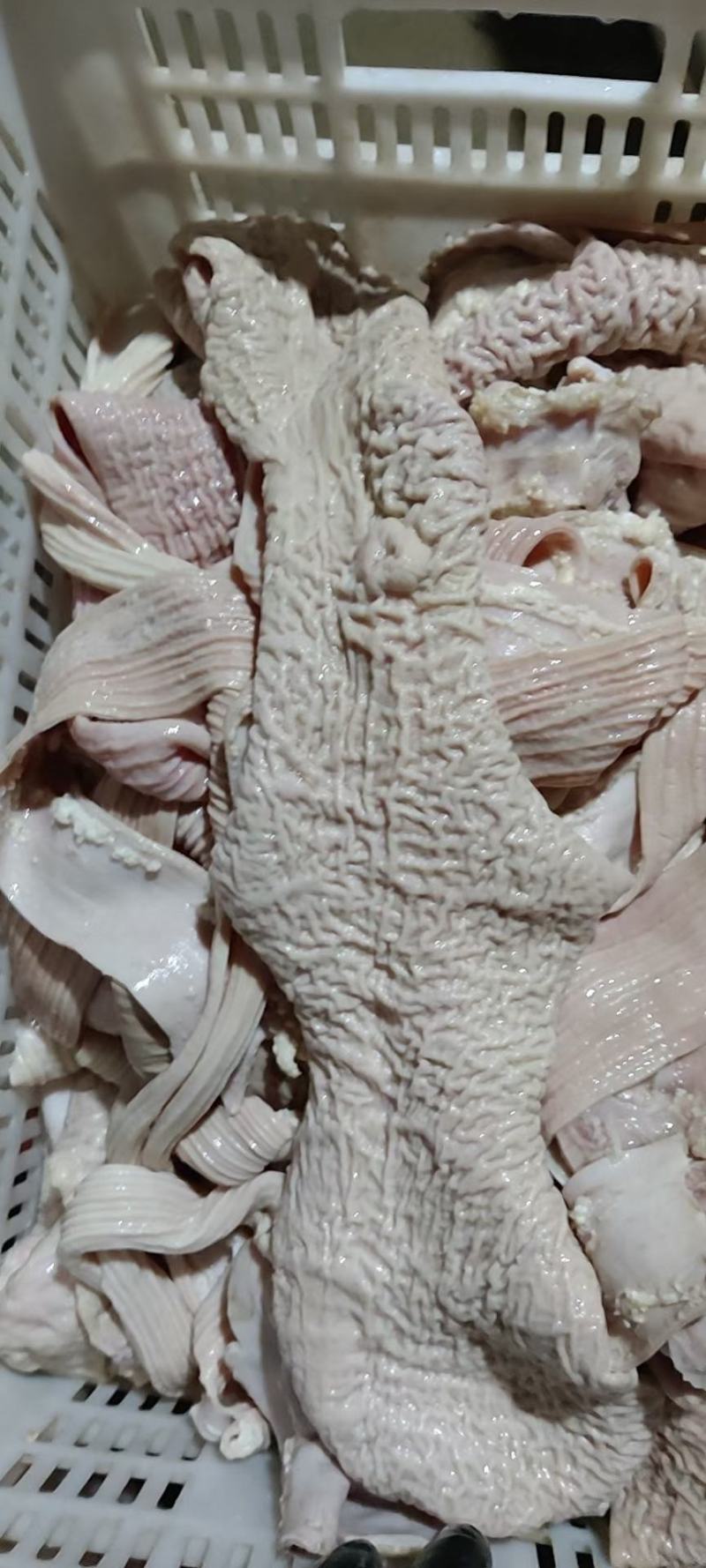 半成品牛大肠干净无油价格低