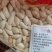 新货椒盐南瓜籽，原味南瓜籽！生南瓜籽，质量好