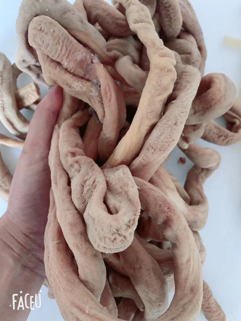 半成品牛小肠干净无油