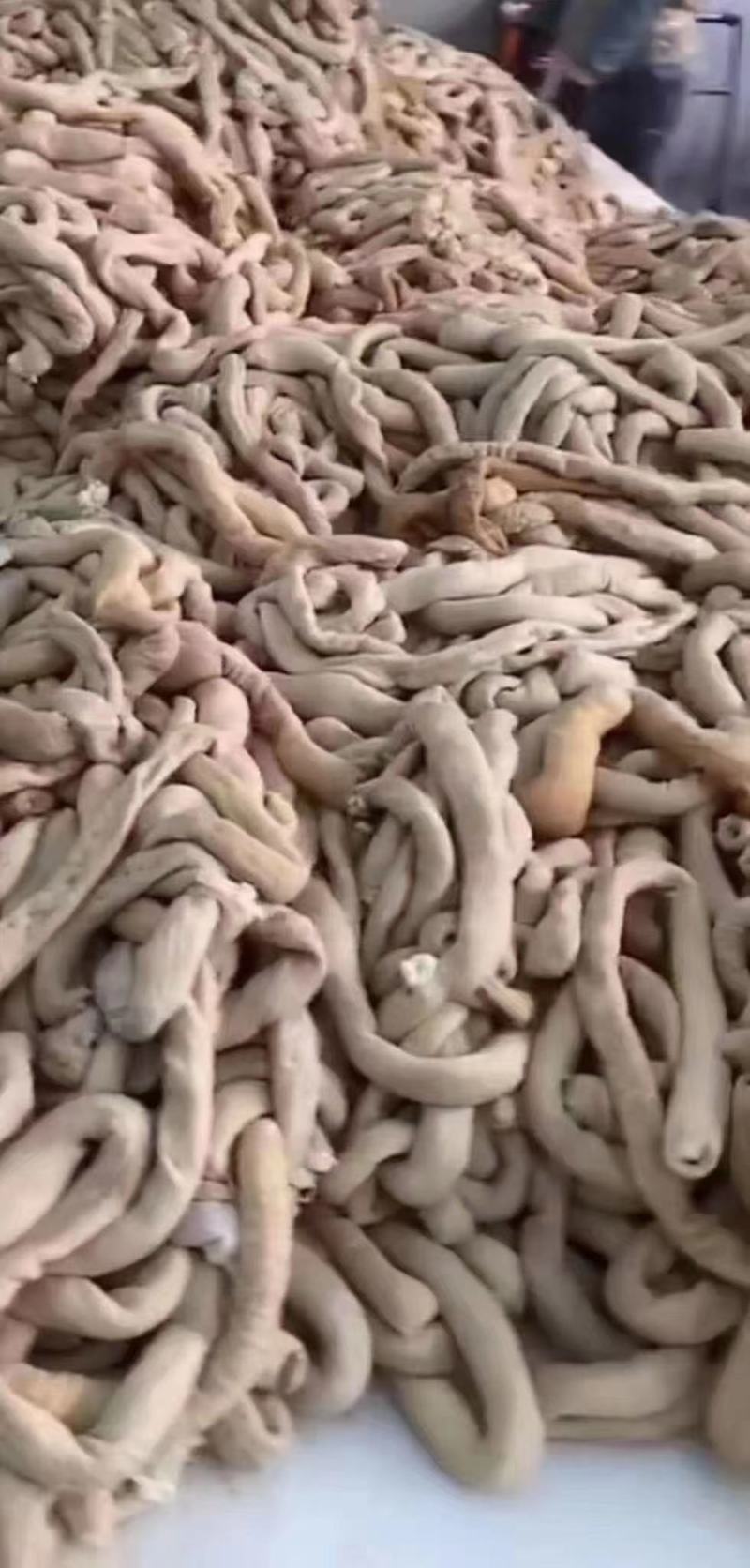 半成品牛小肠干净无油