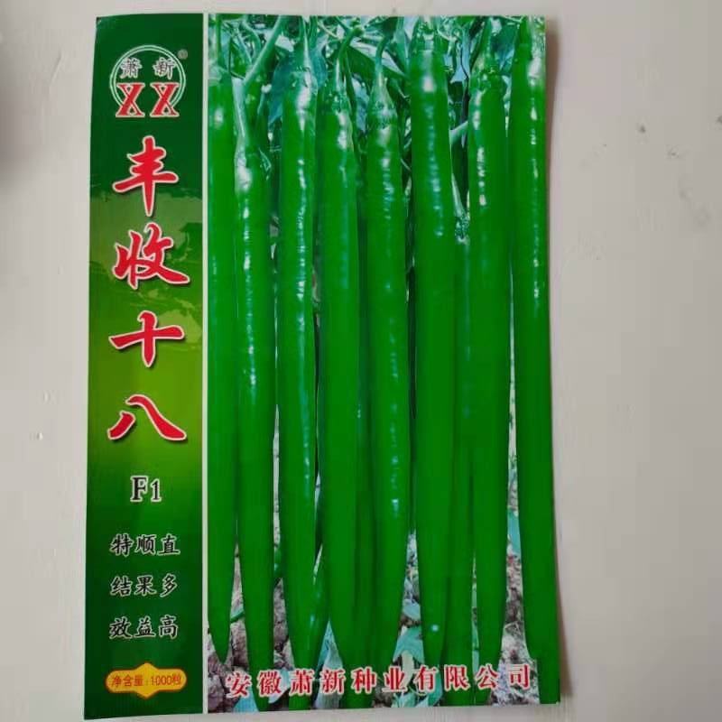 辣椒种子苏润998早熟抗病产量高口感好品质佳市场易销售