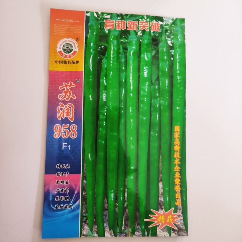 辣椒种子苏润998早熟抗病产量高口感好品质佳市场易销售