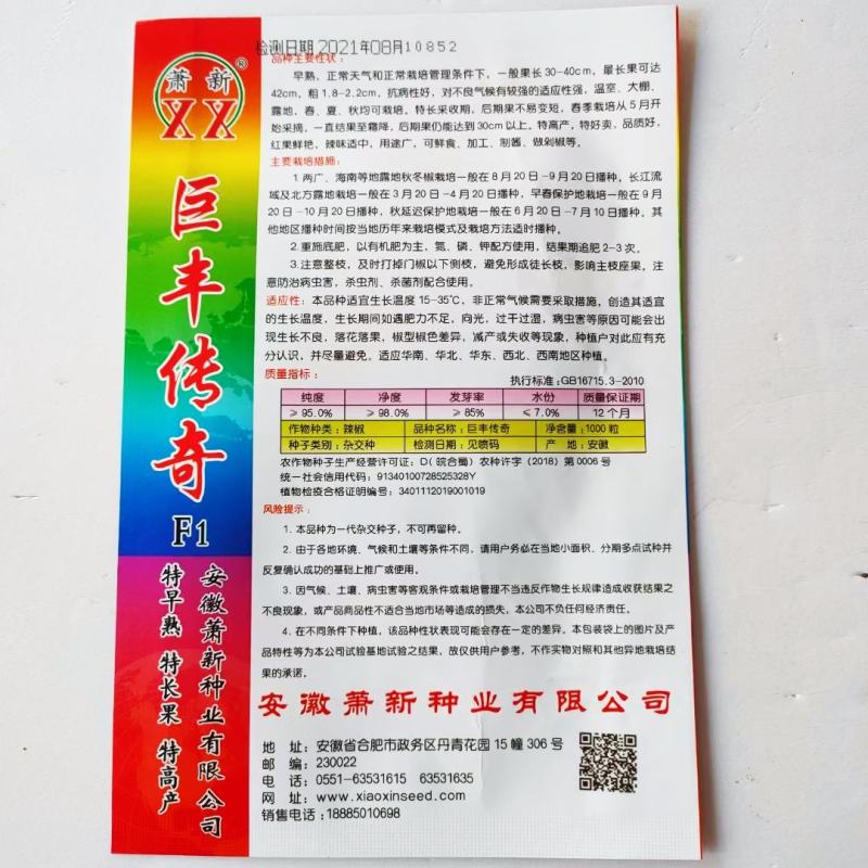 辣椒种子苏润998早熟抗病产量高口感好品质佳市场易销售
