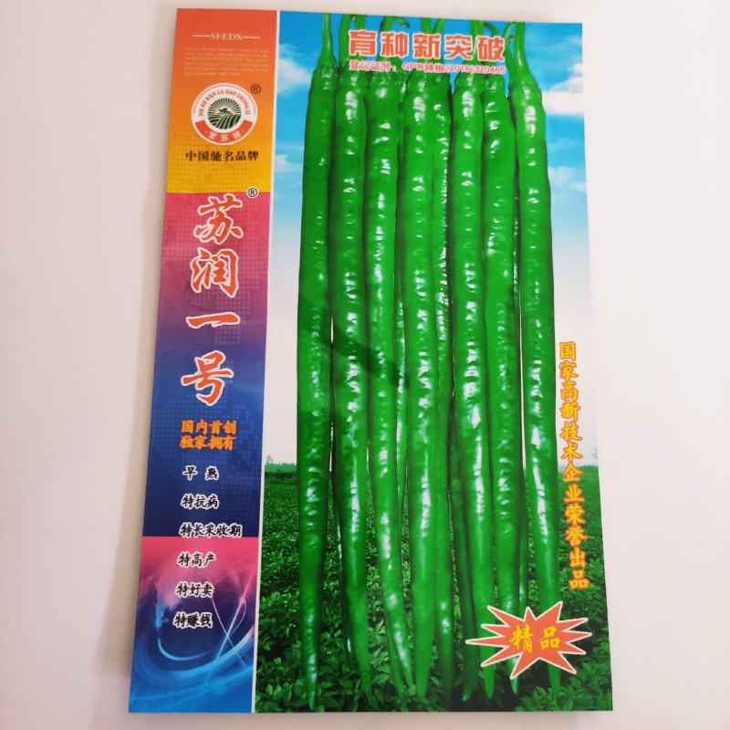 辣椒种子苏润998早熟抗病产量高口感好品质佳市场易销售