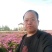 白芍芽，白芍苗，白术芽，牡丹苗，
