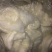 [牛]榨蚕丝光胎天然蚕丝制作喜欢朋友联系我.