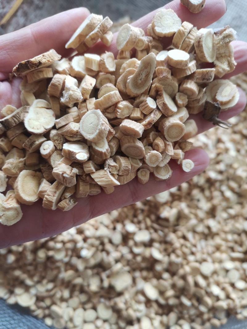 【诺一药材】黄芪无流圆片包含量精品药材