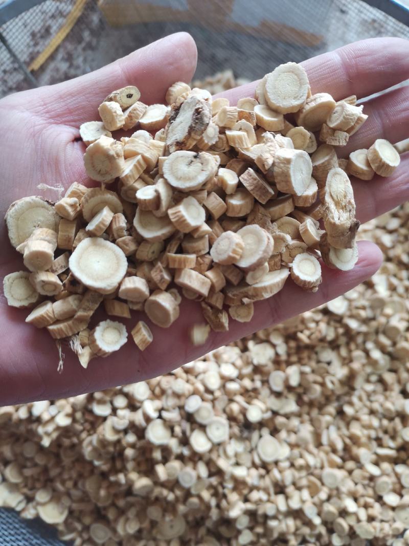 【诺一药材】黄芪无流圆片包含量精品药材