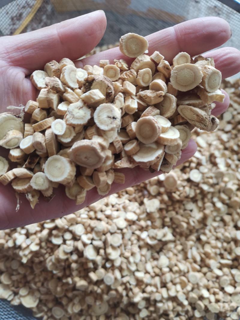 【诺一药材】黄芪无流圆片包含量精品药材